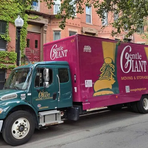 work photo from gentlegiant.com