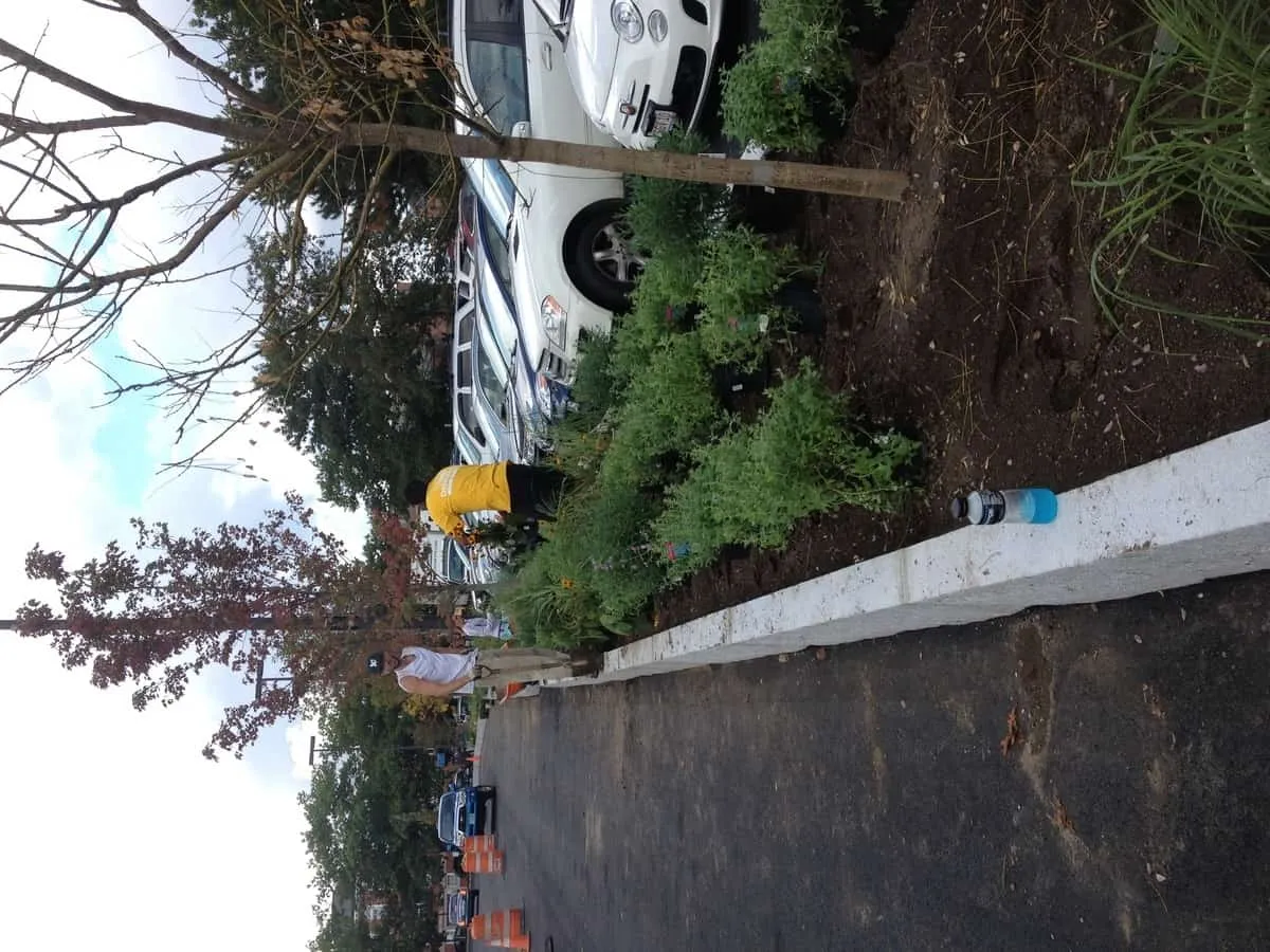 work photo from randalllandscaping.com