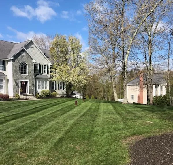 work photo from modernlandscapinganddesign.com