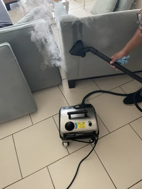 bed bug heat treatment in sarasota