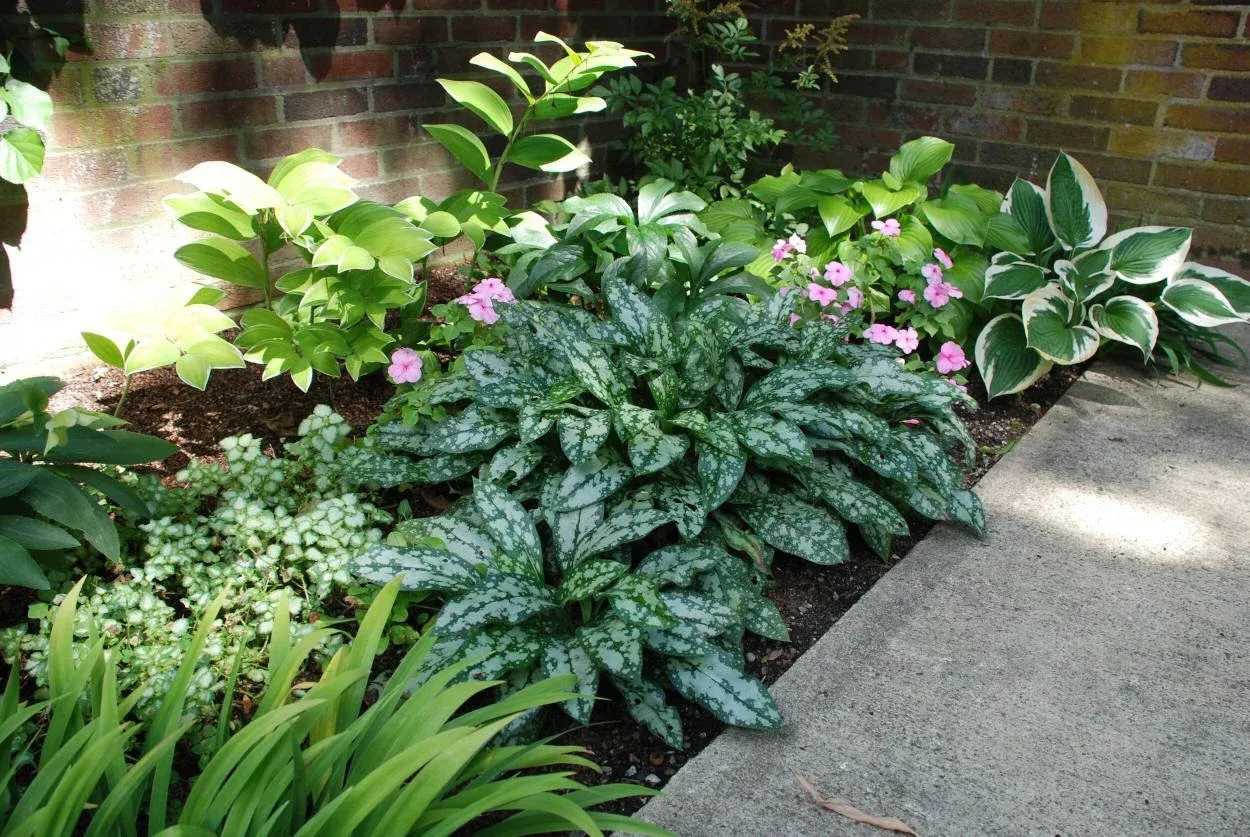 Garden Design