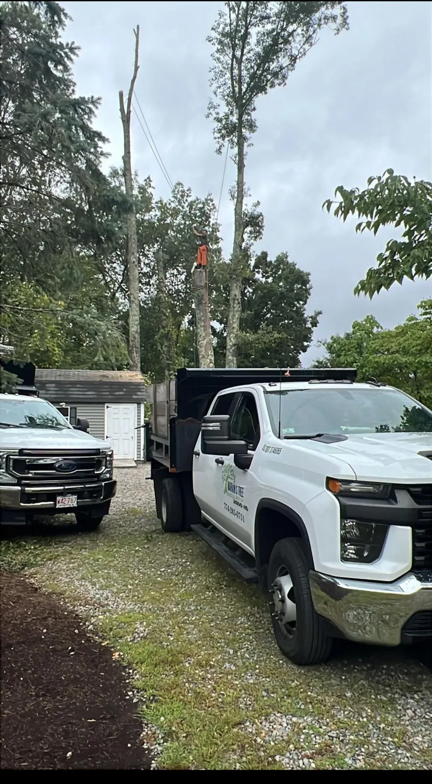Marvin Tree Service & Landscaping Corp