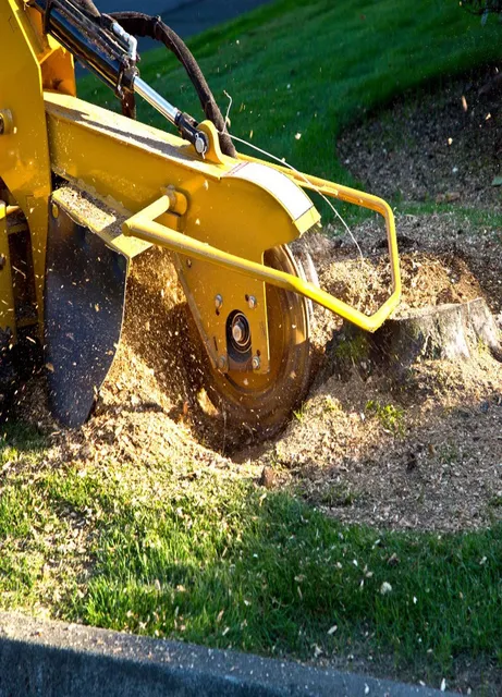 Stump Grinding Middletown, CT