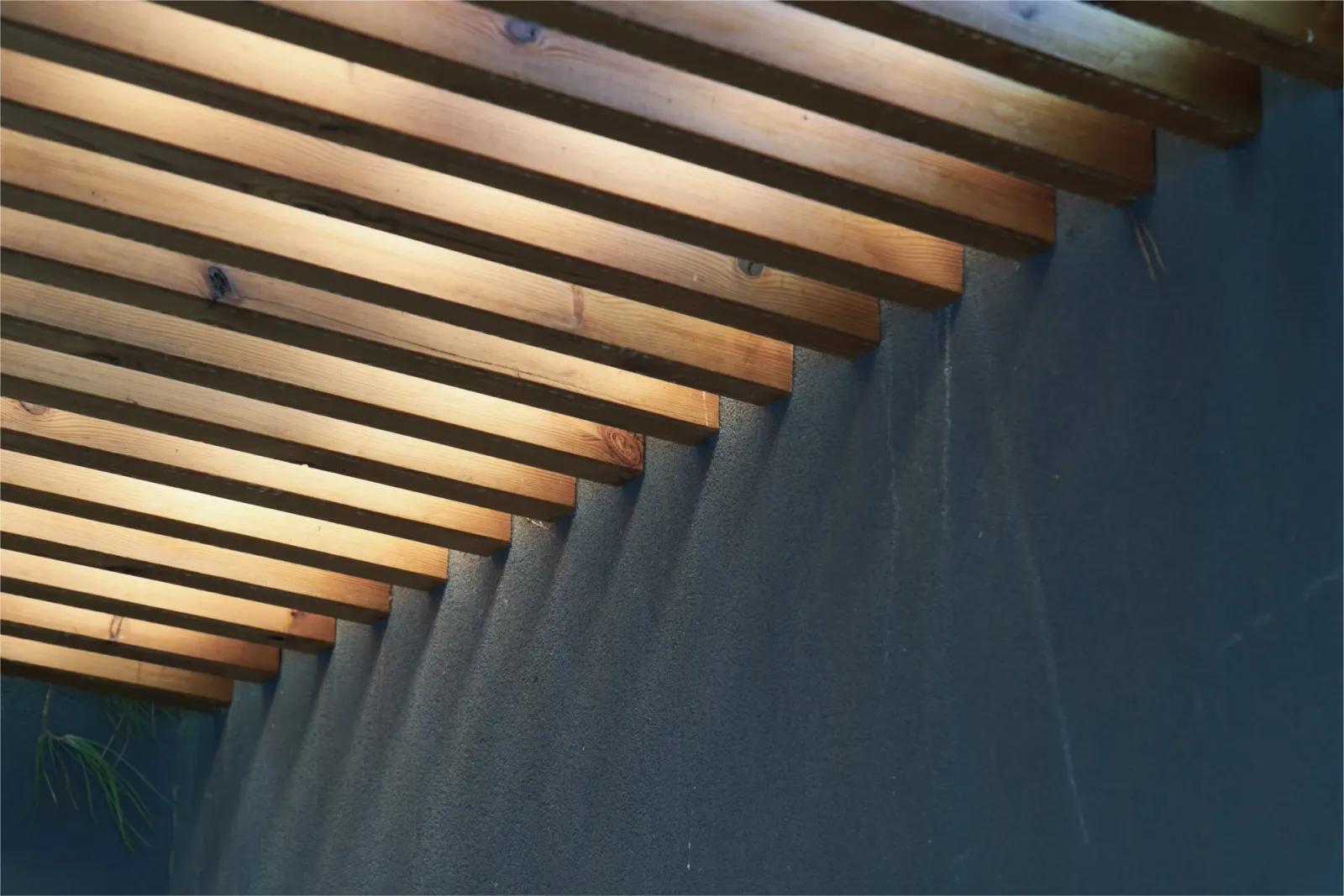 OUTDOOR DESIGN