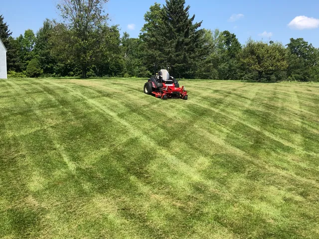 West Property Maintenance work photo