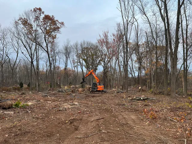 orange excavator clearing trees in a forest, ground covered in woodchips and dirt, cloudy sky