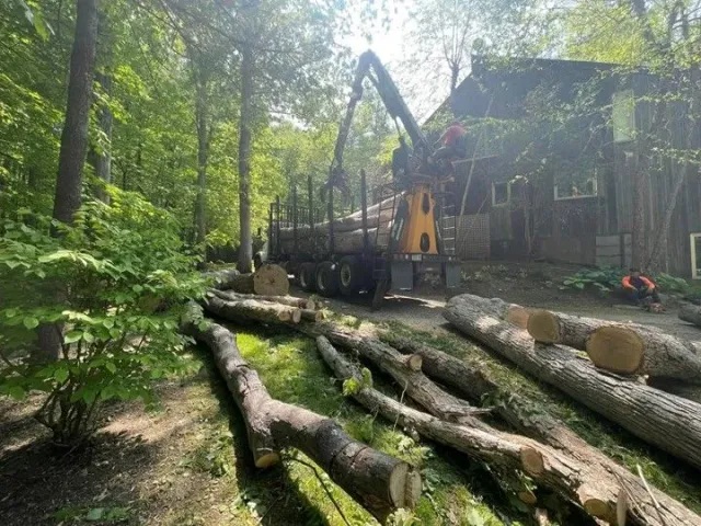 A truck is carrying logs in the woods in front of a house.