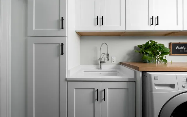Modern laundry room with sink, tall faucet, and potted plant – Woodland Builders, South Shore MA.