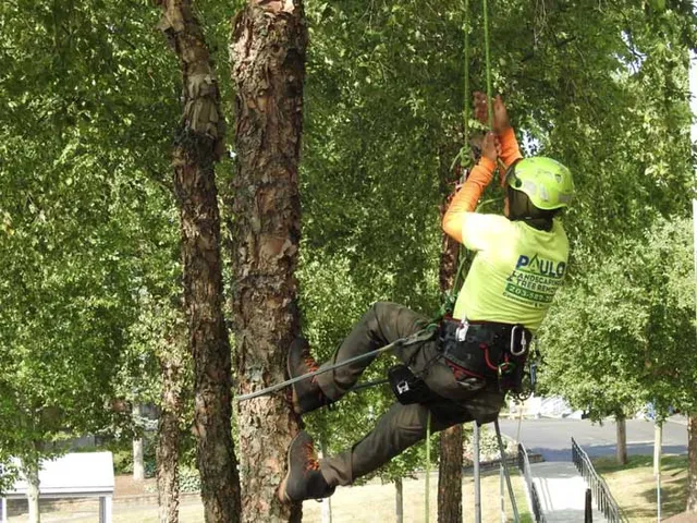 tree-trimming