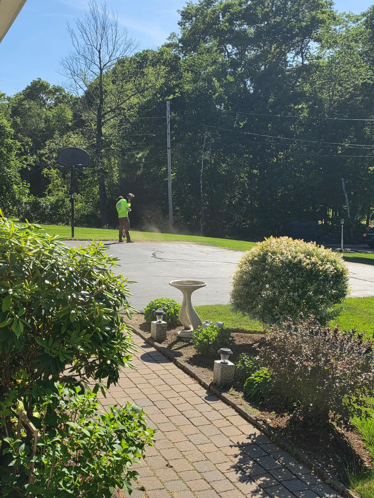 work photo from Google listing