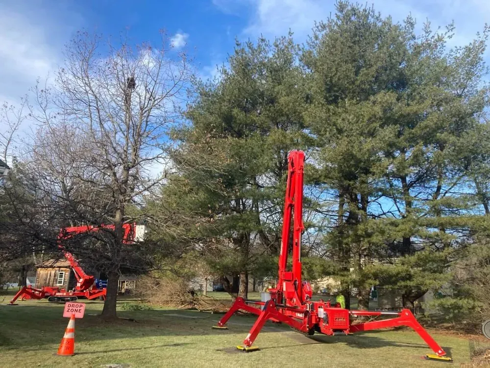 work photo from treetechinc.net