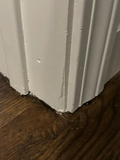 Review photo by Katherine Ferrera