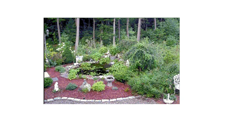 Dave's Landscape Management Company