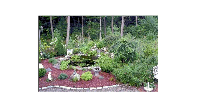Dave's Landscape Management Company