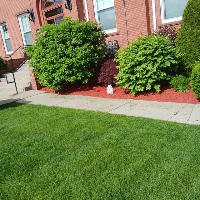 Morales Landscaping & Tree Service work photo