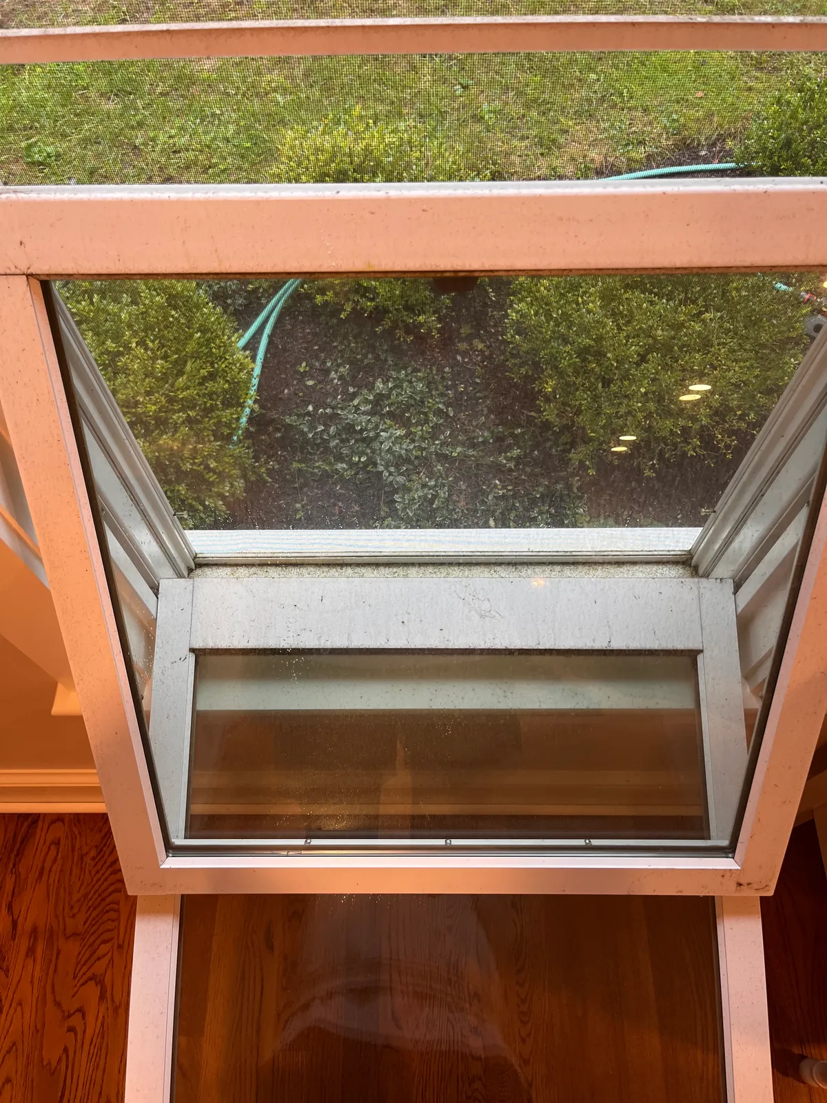 Morell’s Cleaning services researched project photo