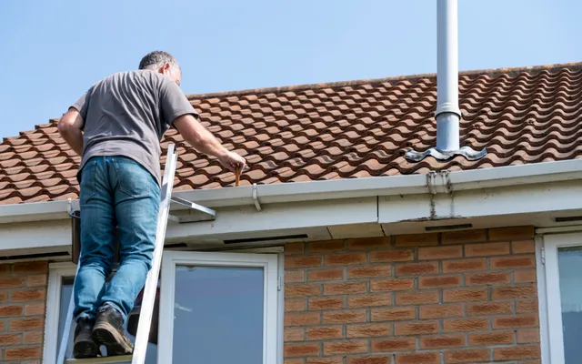 Gutter cleaning service