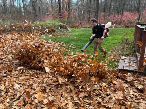 work photo from regallawnandlandscape.com