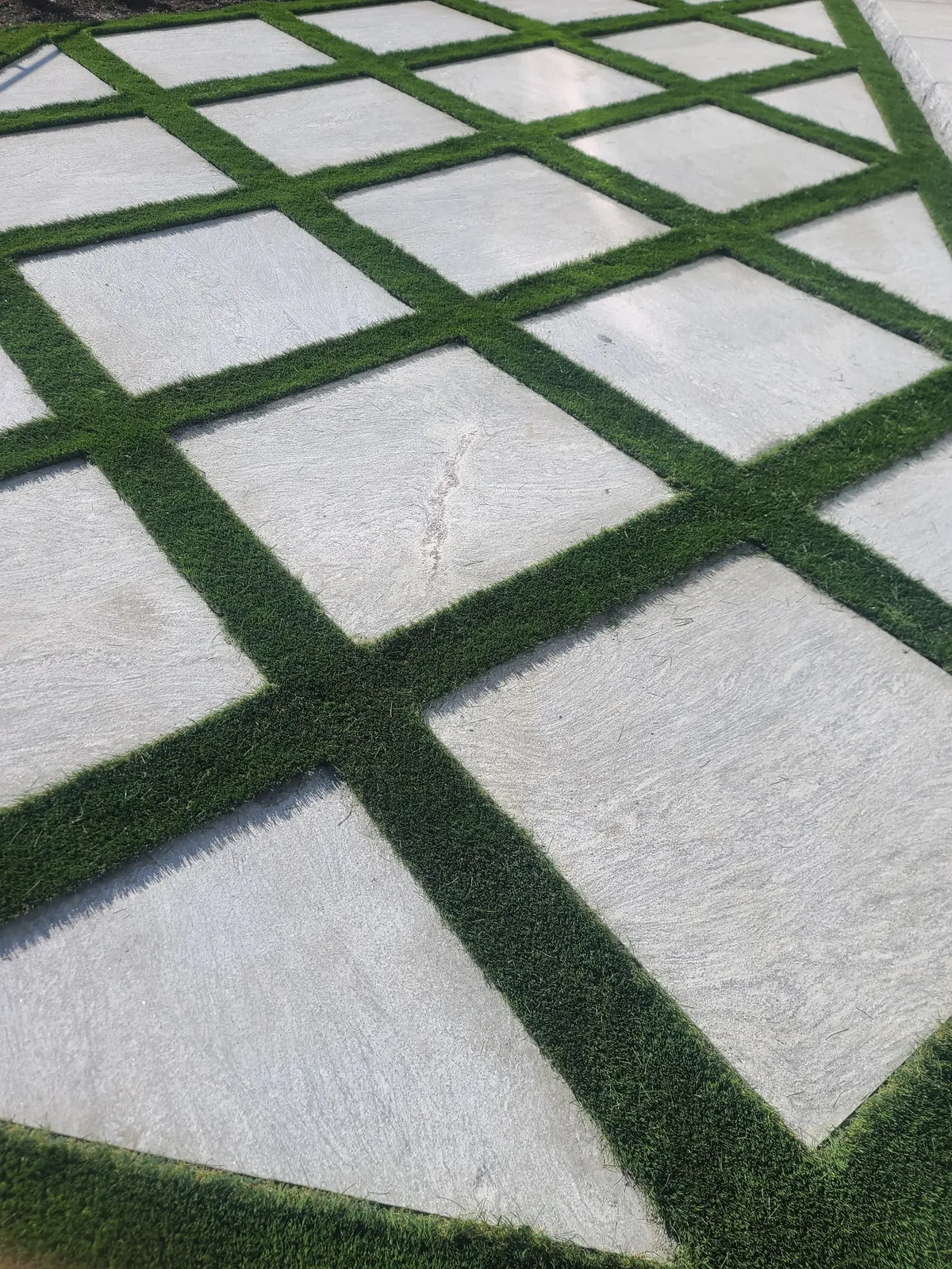 American Elm Landscape llc