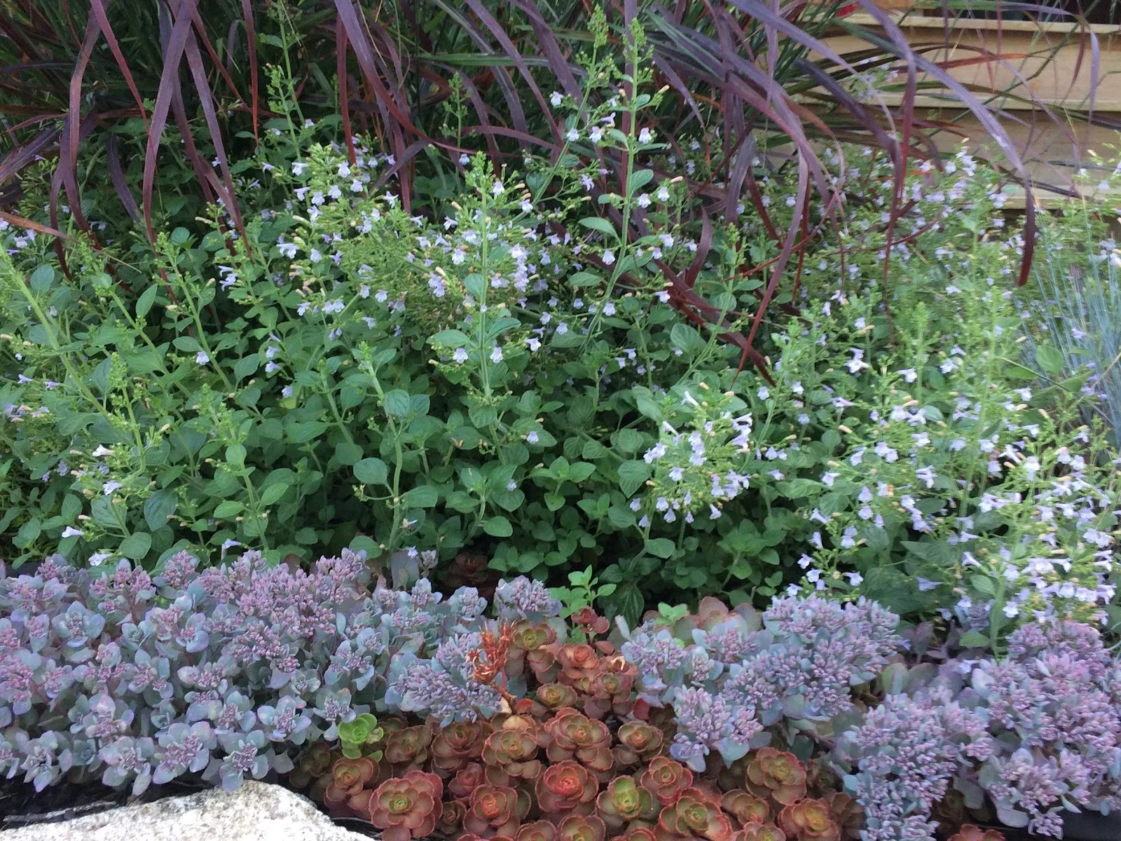 Rue Sherwood Landscape Design
