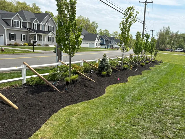 Dream Chaser Landscaping & Powerwashing LLC work photo