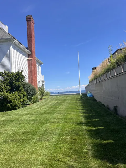 Freshly installed sod lawn