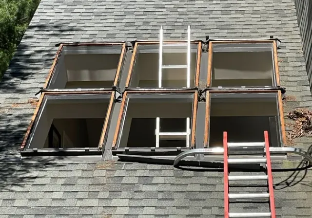Skylight Weather Proofing