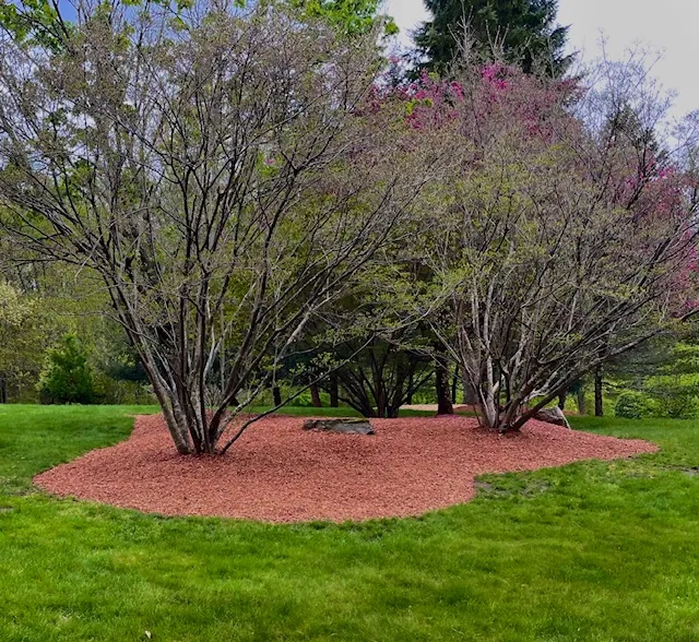 Affinity Landscape Solutions