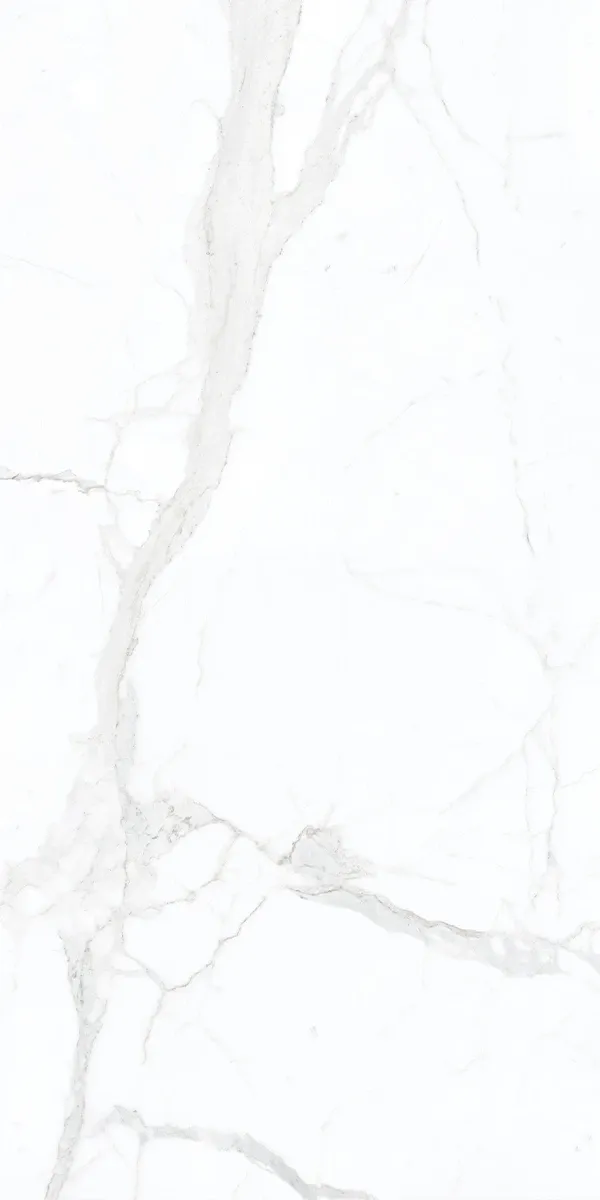 Calacatta White 12 B