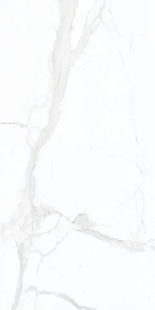 Calacatta White 12 B