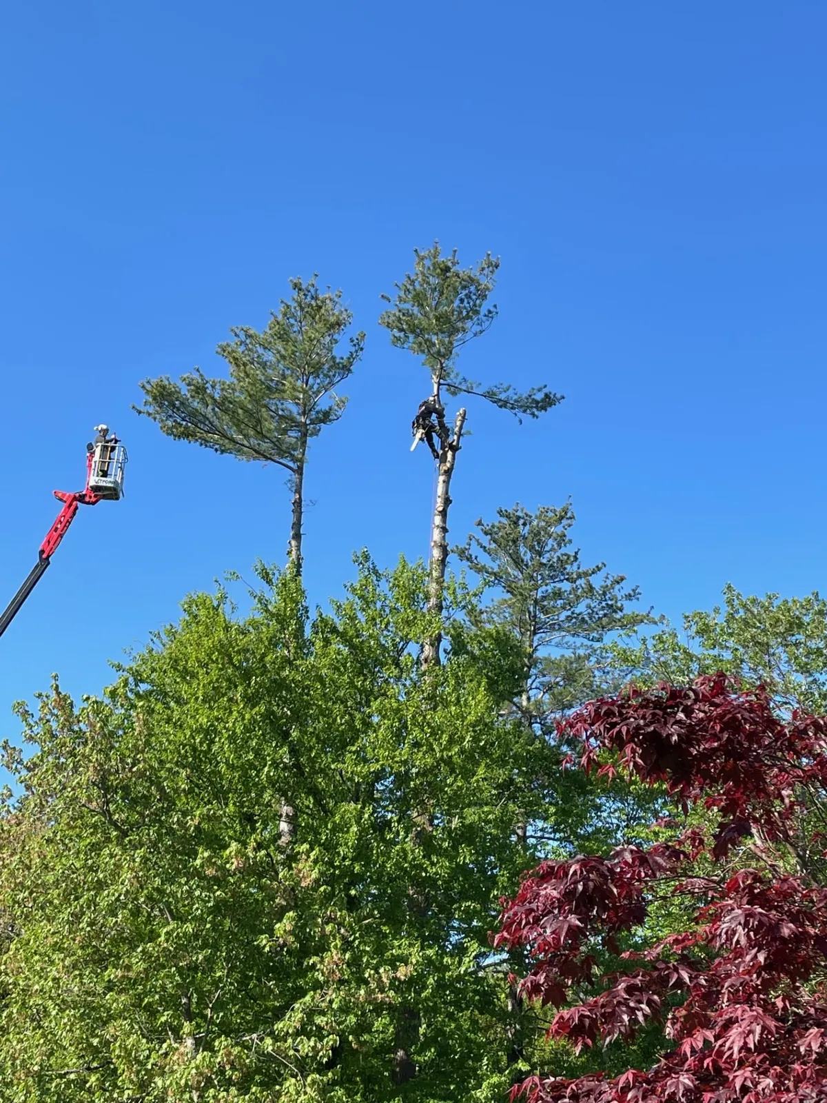 work photo from Google listing