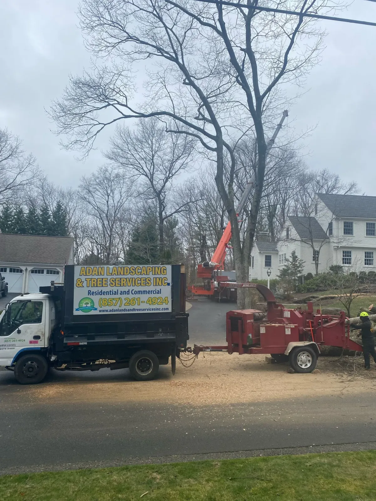 work photo from adantreeservices.com