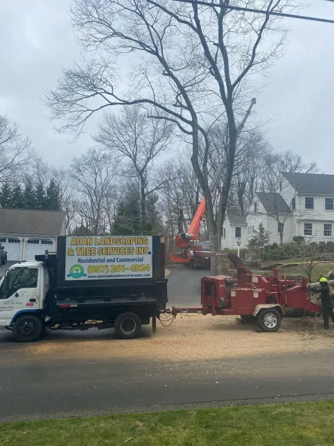 work photo from adantreeservices.com