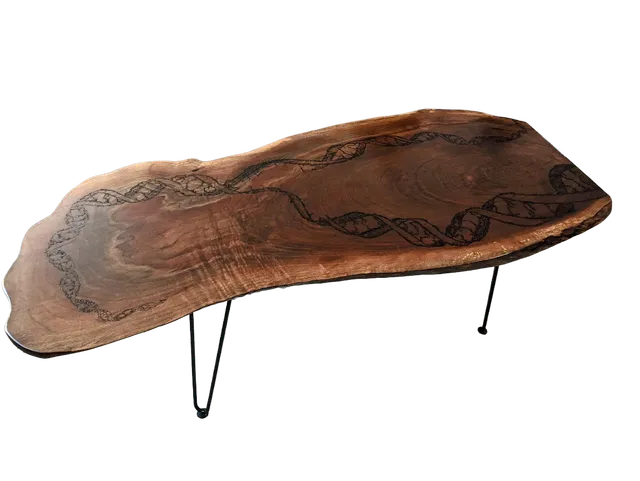 Live-edge coffee table with woodburned DNA