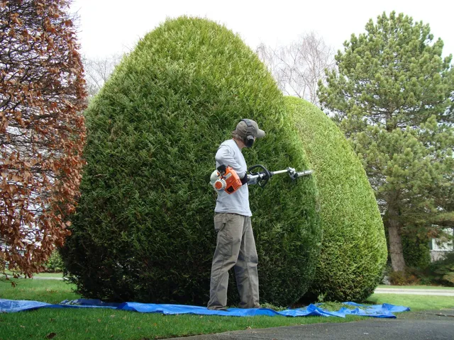 work photo from rjlawncare.com