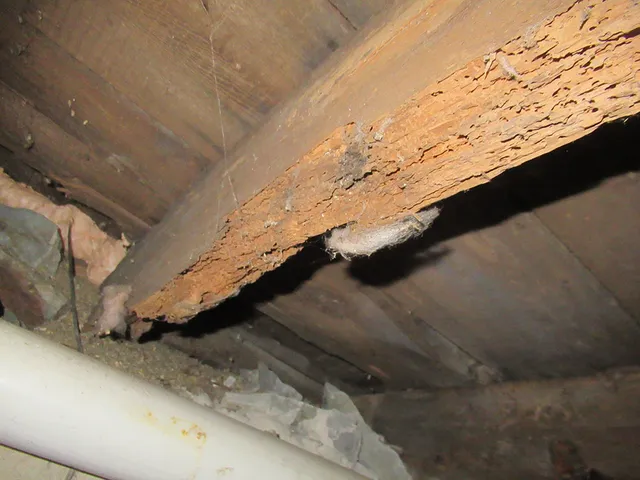work photo from qualitycheckhomeinspection.com