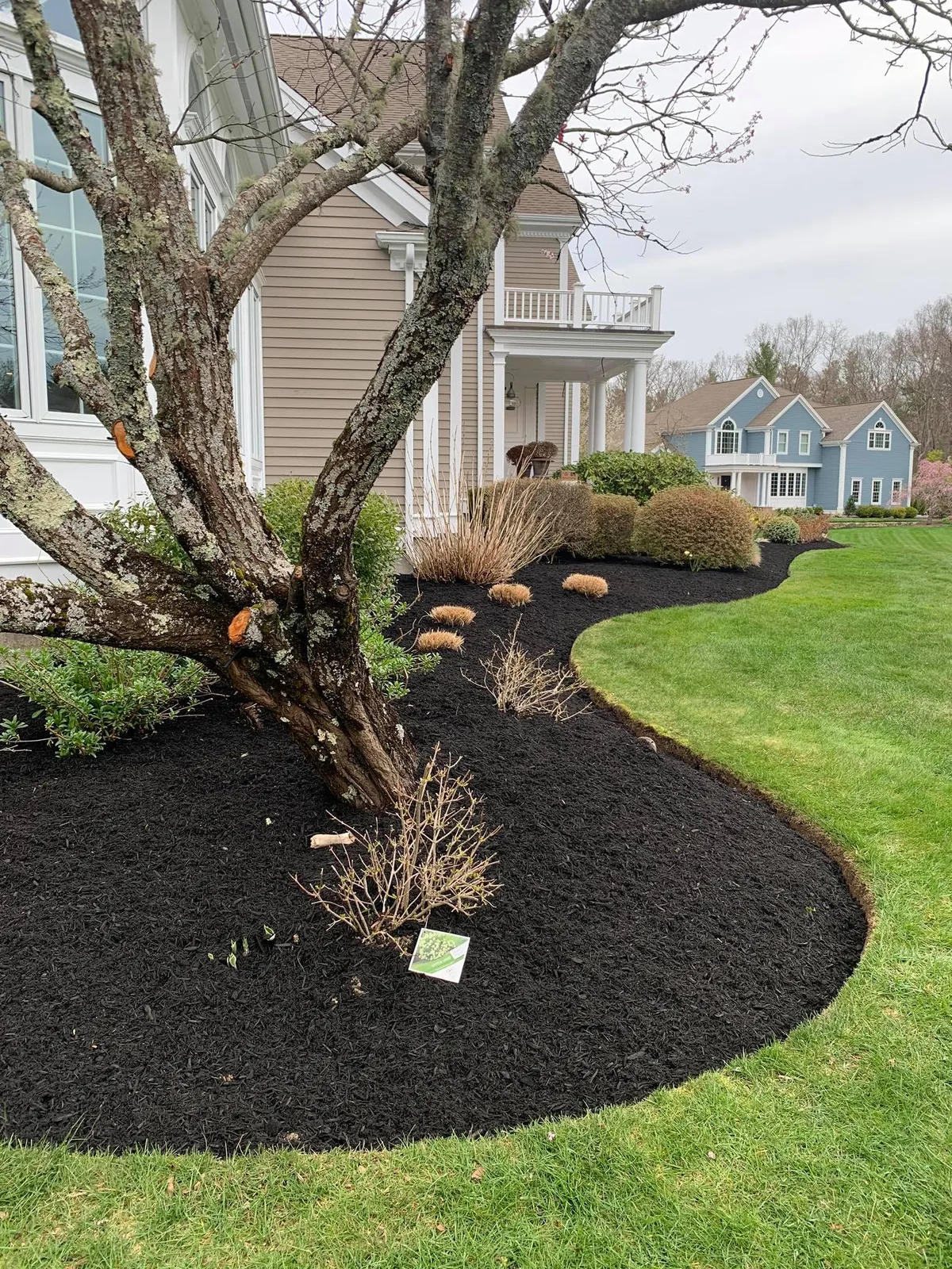 Landscaping