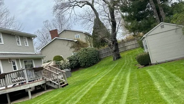 landscaping Maintenance