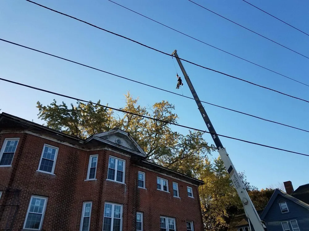 J. Bonin Tree Services, LLC verified work photo