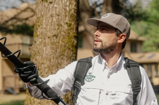 Tanner - Eastern Pine Pest Control