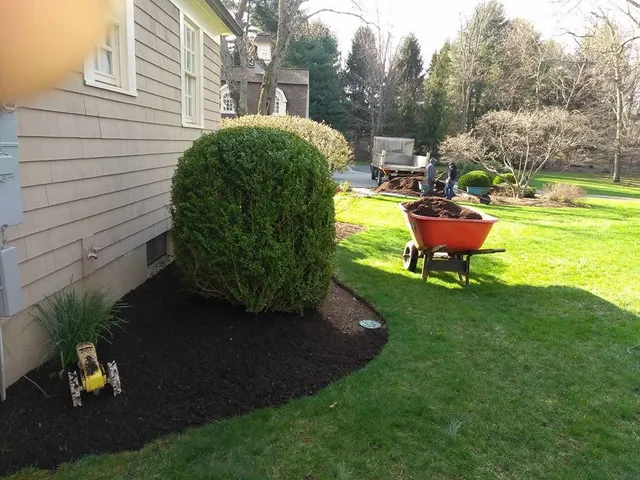 Landscape design