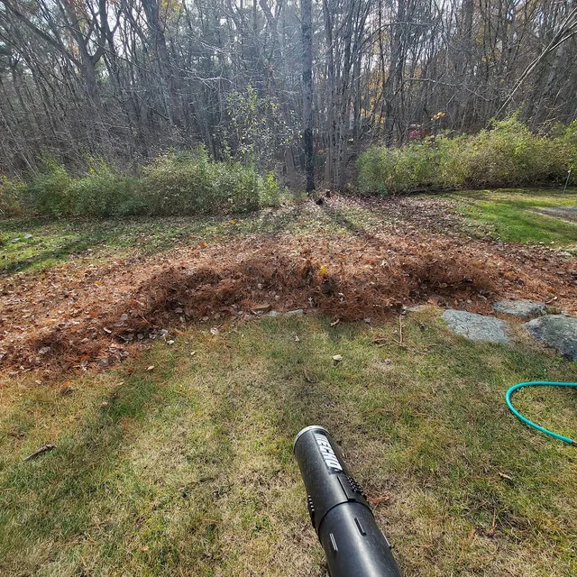 Fall Cleanup Services by Q's Quality Lawn Care, LLC: Preparing Your Landscape for Winter in Coventry, RI
