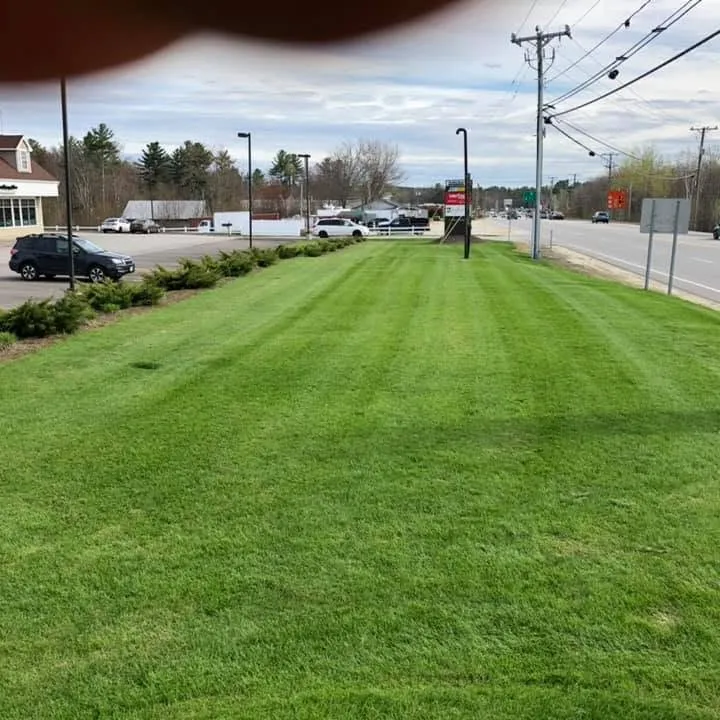 Shaheen Landscaping researched project photo