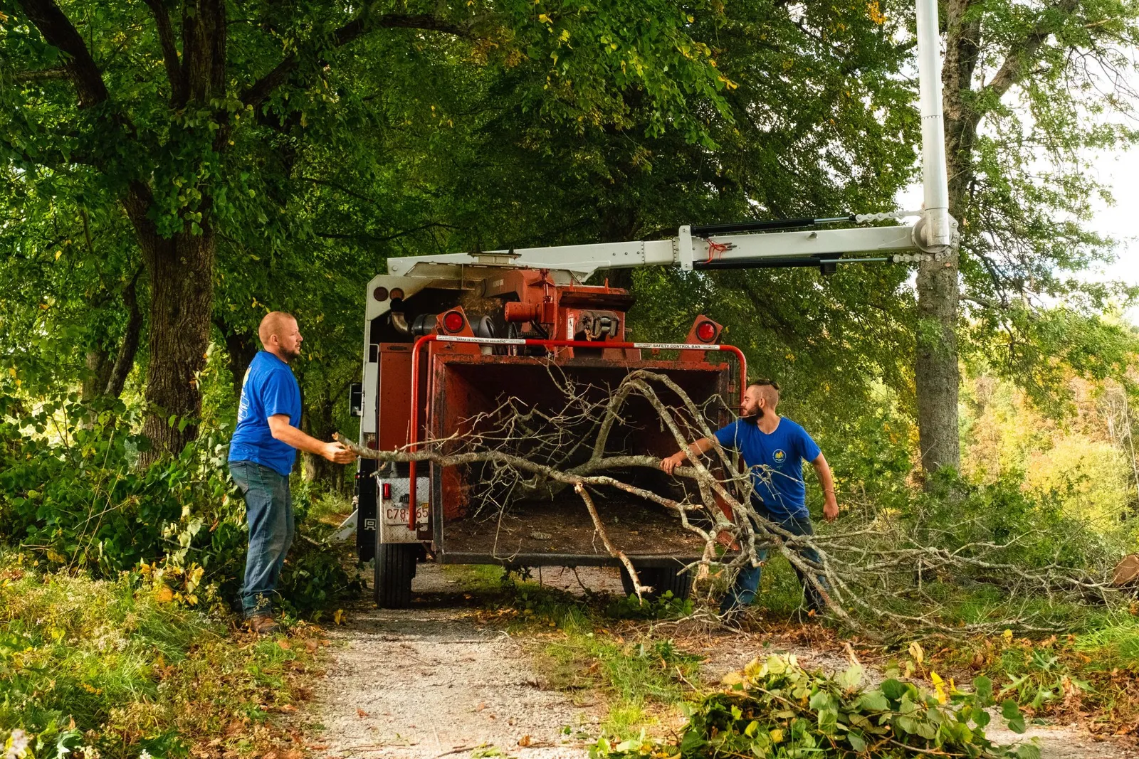 work photo from brtreeservicema.com
