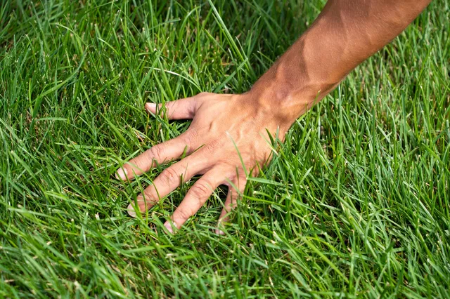 work photo from premiertopdressing.com