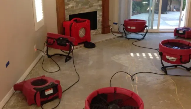 Property Restoration Process