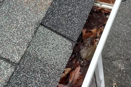 gutter cleaning