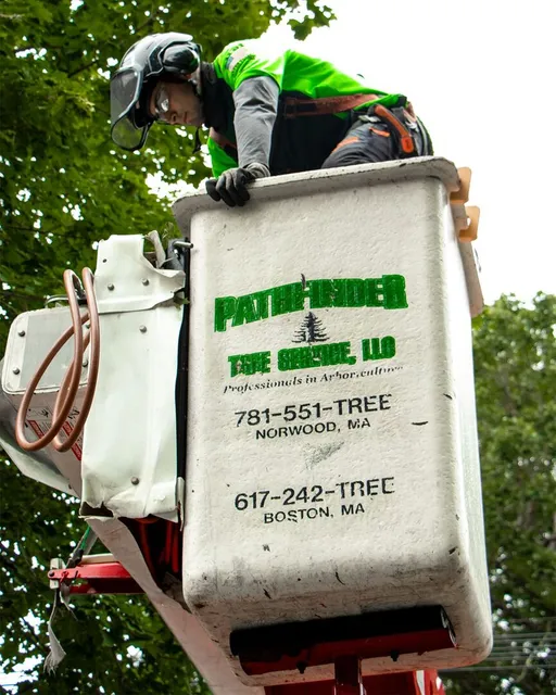 work photo from pathfindertreeservice.com