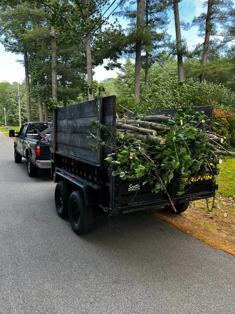Bouchard Tree Service work photo