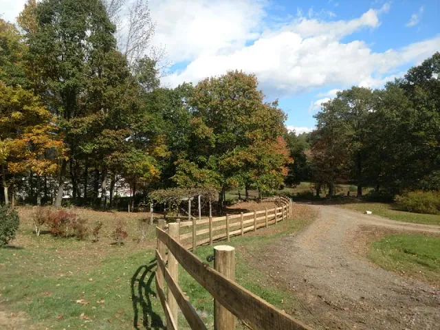 work photo from bastonisfence.com